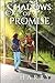 Shadows of a Promise (Well ...