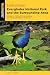 Exploring Everglades National Park and the Surrounding Area: A Guide to Hiking, Biking, Paddling, and Viewing Wildlife in the Region (Exploring Series)