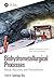 Biohydrometallurgical Proce...