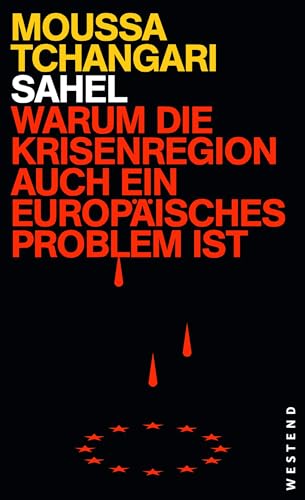 Sahel: Warum die Krisenregion auch ein europäisches Problem ist (German Edition)