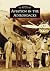 Aviation in the Adirondacks by Aurora Pfaff Aviation in the Adirondacks by Aurora Pfaff