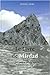 LE LIVRE DE MIRDAD - UN PHA...