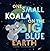 One Small Koala on the Big ...