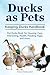 Ducks as Pets. Keeping Duck...