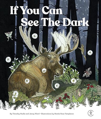 If You Can See The Dark (Hardcover)