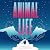 Animal Life
