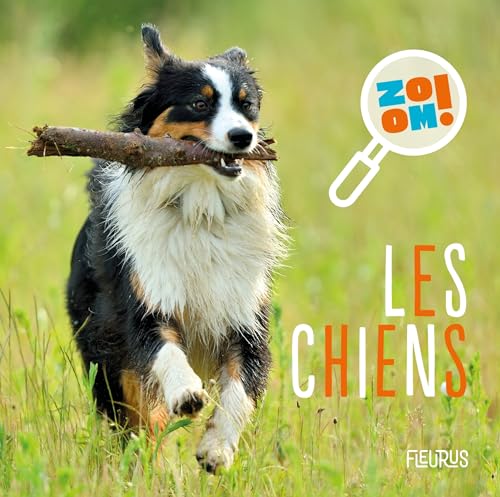 Les chiens (Hardcover)