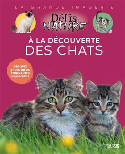 À la découverte des chats (Hardcover)