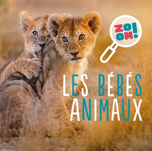 Les bébés animaux (Hardcover)