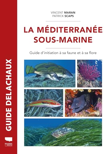 Méditerranée sous-marine: Guide de la faune et de la flore (Paperback)