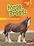 Horse Breeds by Cara Krenn