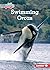 Swimming Orcas (Let's Look at Polar Animals (Pull Ahead Readers ― Nonfiction))