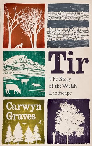 Tir: The Story of the Welsh Landscape (Kindle Edition)