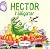 HECTOR L'ALLIGATOR 2E ED.