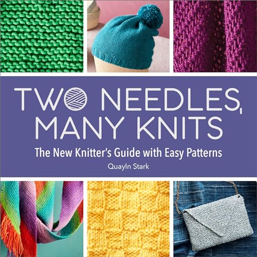Two Needles, Many Knits: The New Knitter's Guide with Easy Patterns (Paperback)