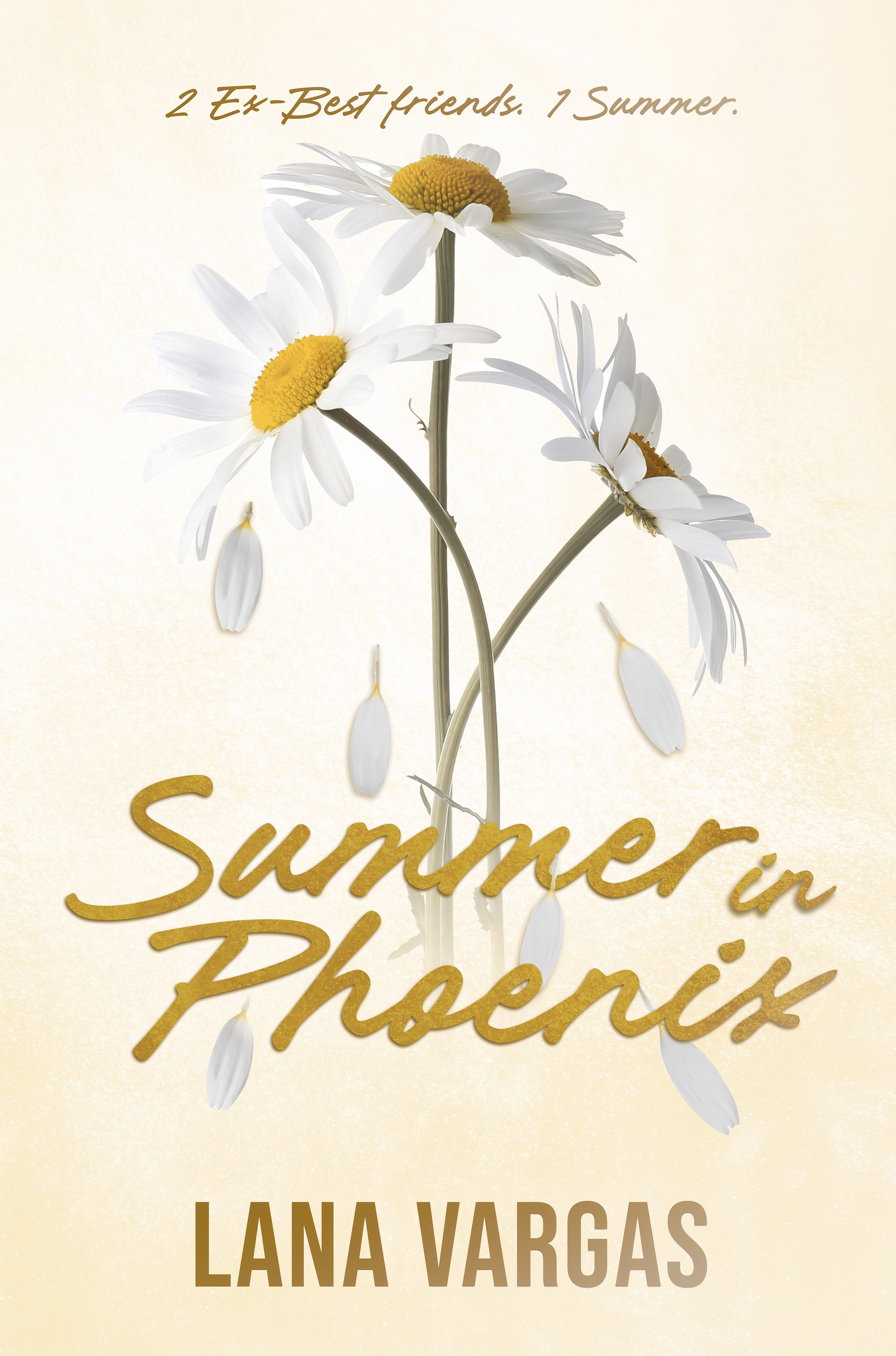 Summer in Phoenix (Paperback)