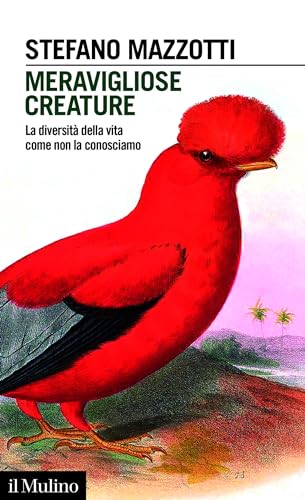 Meravigliose creature: La diversità della vita come non la conosciamo (Intersezioni) (Italian Edition)