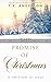 The Promise of Christmas by T.K. Anderson