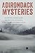 Adirondack Mysteries by Dennis Webster