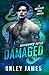 Damaged (Necessary Evils)