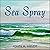 Sea Spray (Time Box, #3)