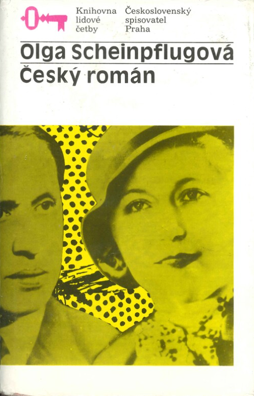 Český román (Hardcover)