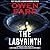 The Labyrinth: Library Edition (Joey Mancuso, Father O'brian Crime Mysteries, 8)