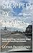 Stopped by Trains by Glynis Palmisano