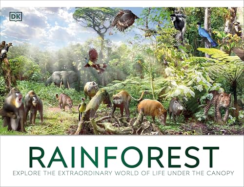 Rainforest (Hardcover)