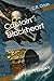 Captain Blackheart: A Pirat...