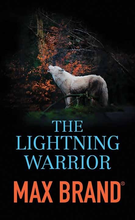 The Lightning Warrior: A North-Western Story (Western Series Level III (24))