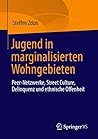 Jugend in marginalisierten Wohngebieten: Peer-Netzwerke, Street Culture, Delinquenz und ethnische Offenheit (German Edition)