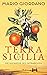 Die Rückkehr des Patriarchen (Terra di Sicilia, #1