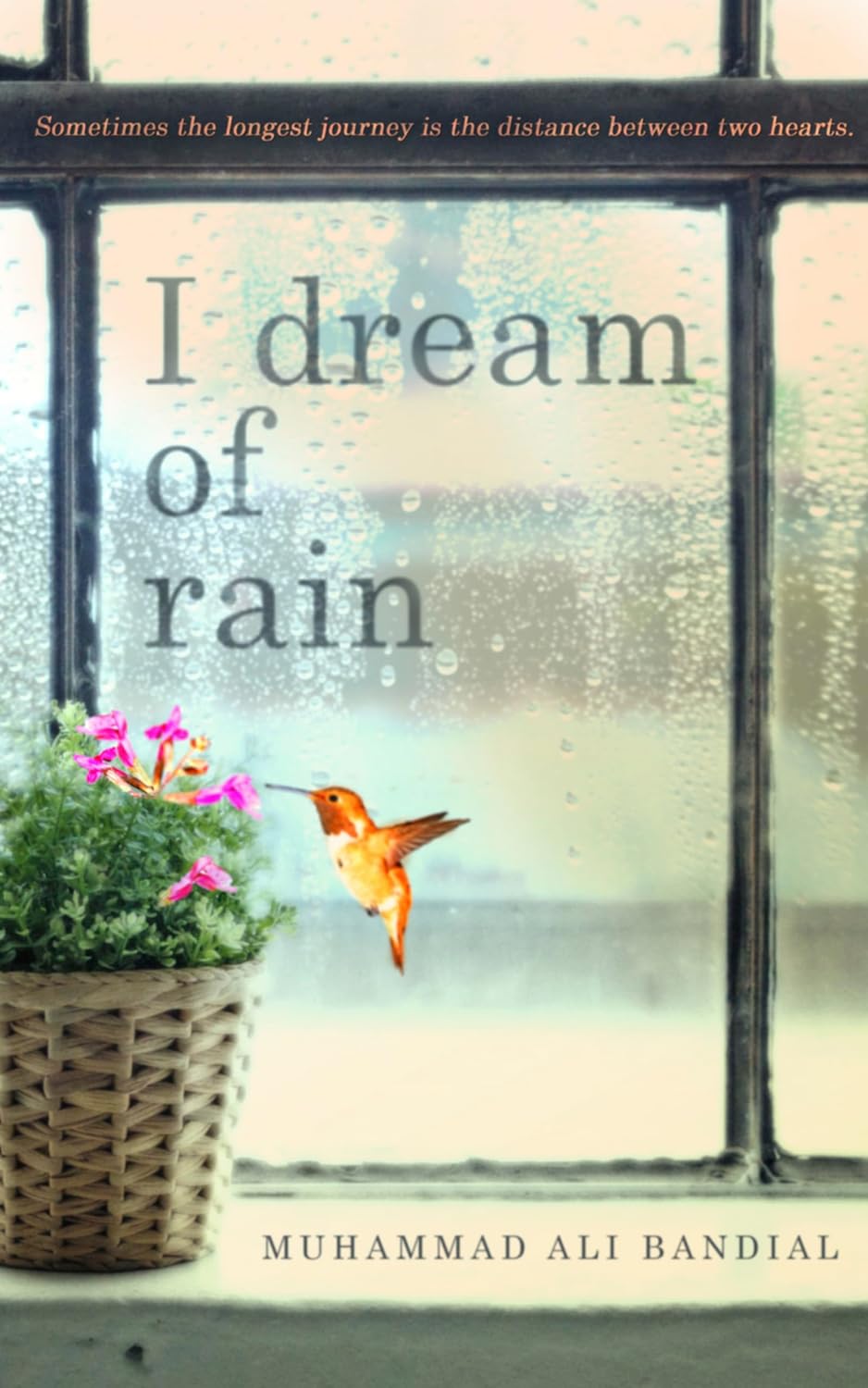 I Dream of Rain: Sometimes the longest journey is the distance between two hearts