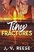 Tiny Fractures by J.V. Reese