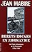 Les bérets rouges en Normandie (French Edition)