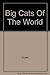 Big Cats Of The World