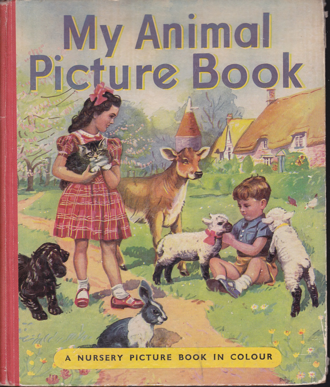 My Animal Picture Book (Hardcover)