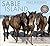 Sable Island