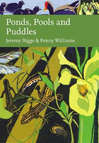 Ponds, Pools and Puddles (ebook)