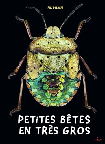 Petites bêtes en très gros (Hardcover)