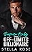 Surprise Baby for the Off-Limits Billionaire by Stella Rose