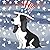 Star Spangled Bojangles by Jon Cook