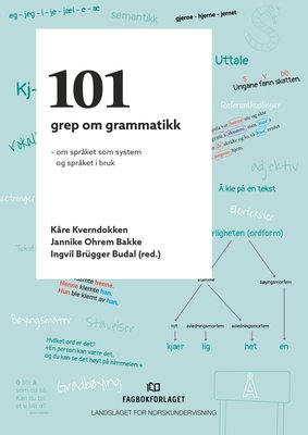 101 grep om grammatikk - om språket som system og språket i bruk