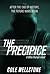 The Precipice by Cole Wellstone