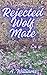 Rejected Wolf Mate : M/M Wo...