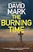 The Burning Time (A DS McAvoy Novel, 12)