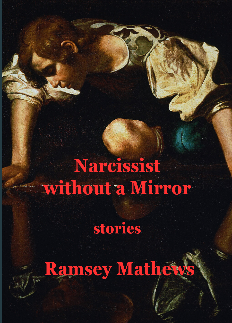 Narcissist without a Mirror: Stories