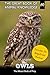 Owls: The Wisest Birds of P...