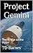 Project Gemini: The Bridge to the Moon (Space: The Final Frontier Book 2)